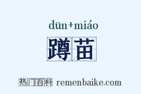蹲苗是什么意思的图片